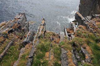 Inishmore - Aran Islands Irlande 2013